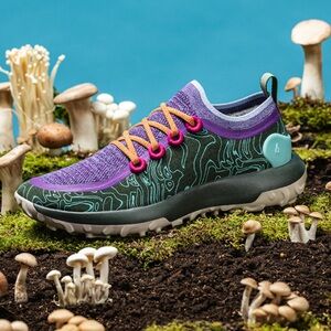 Allbirds Limited Edition SWT Trail Runner Shoe